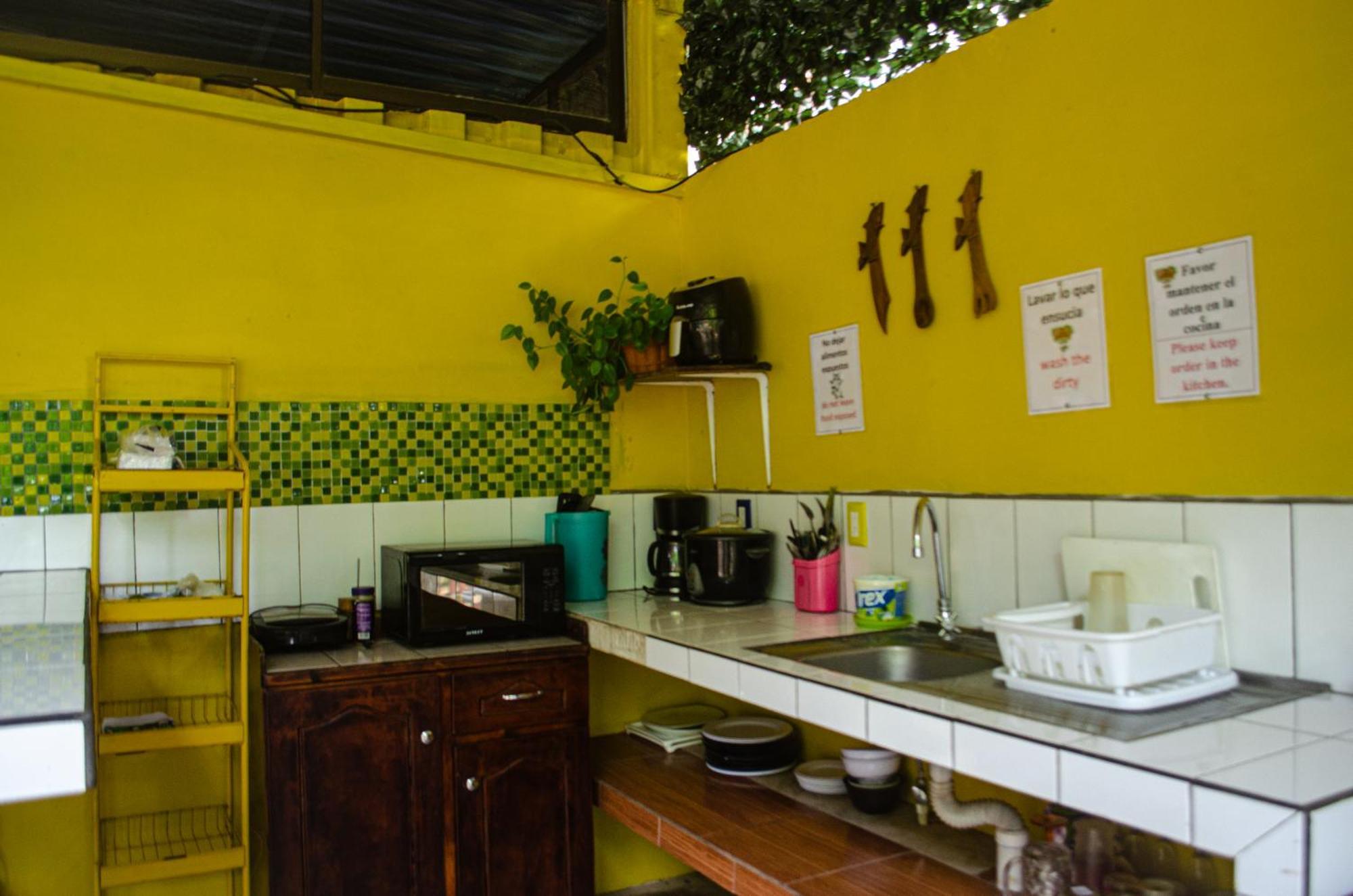 The Jungle Container Bed & Breakfast Quepos Exterior photo